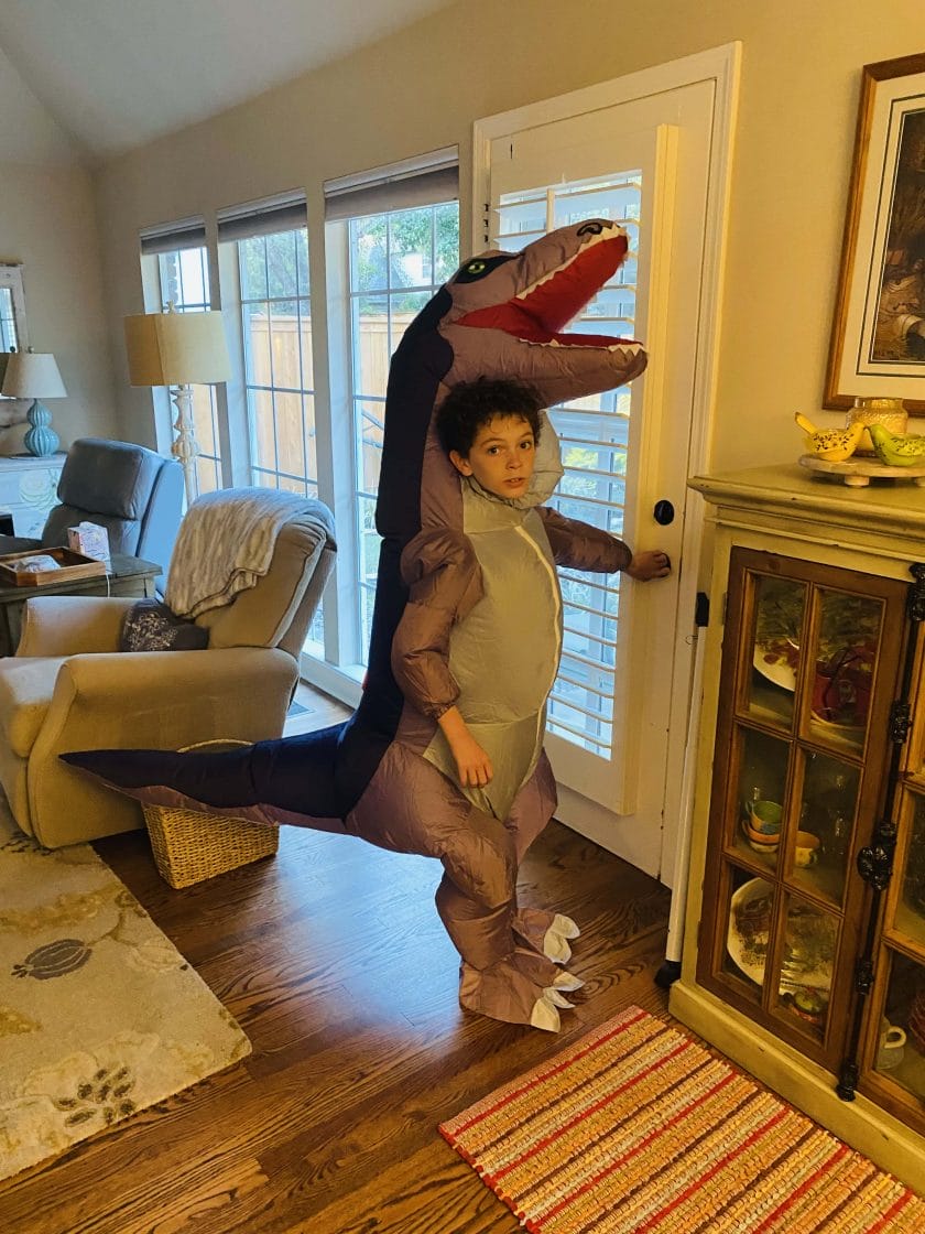 dinosaur costumes